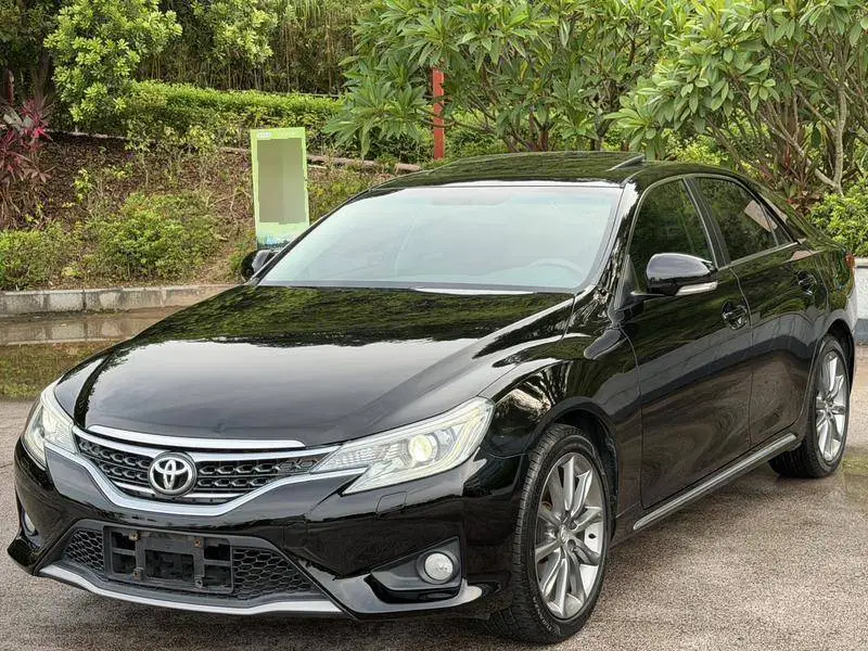 Reiz 2013 2.5V Shangrui Edition