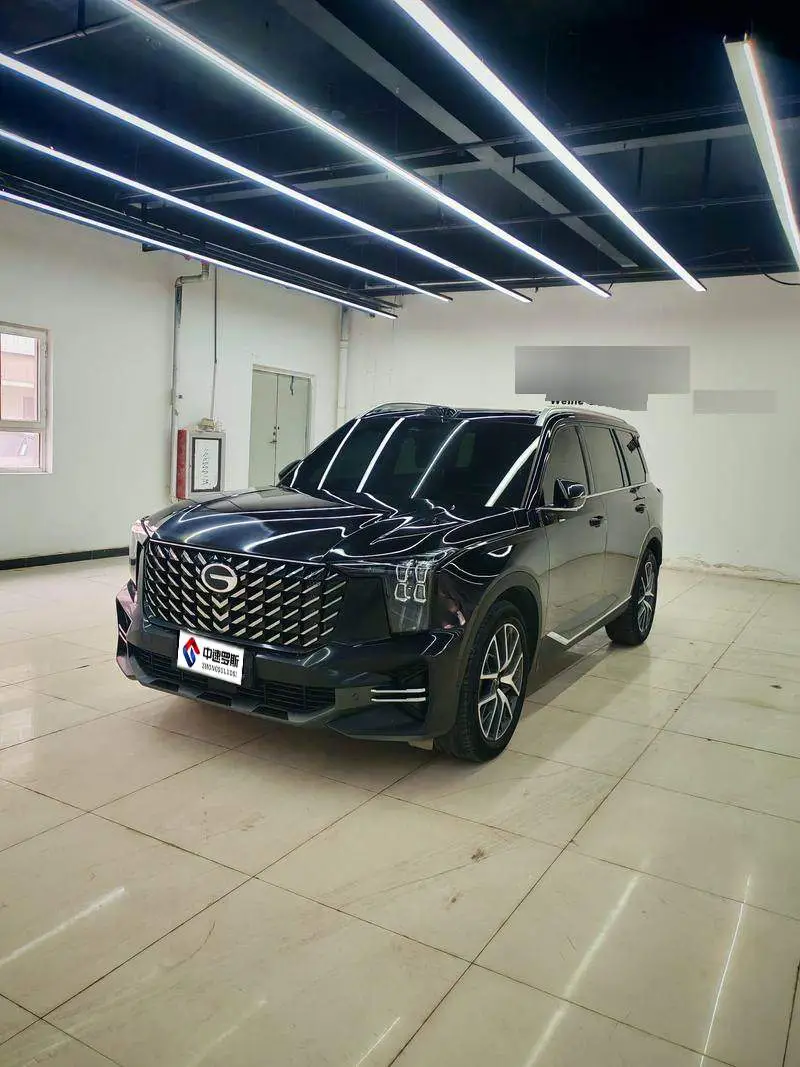 Trumpchi GS8 2024 Pilot Series 2.0TGDI Two-wheel Drive Luxury Smart Edition