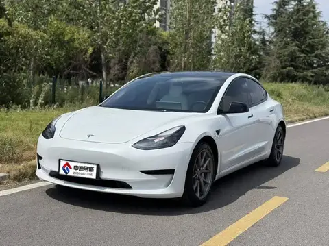 الطراز 3 2021 Standard Range RWD Upgraded 3D6