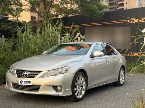 Reiz 2010 2.5V Elite Edition