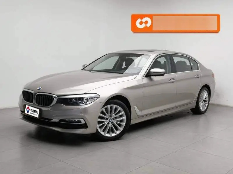 BMW 5 Series 2019 530Li Leading Luxury Package