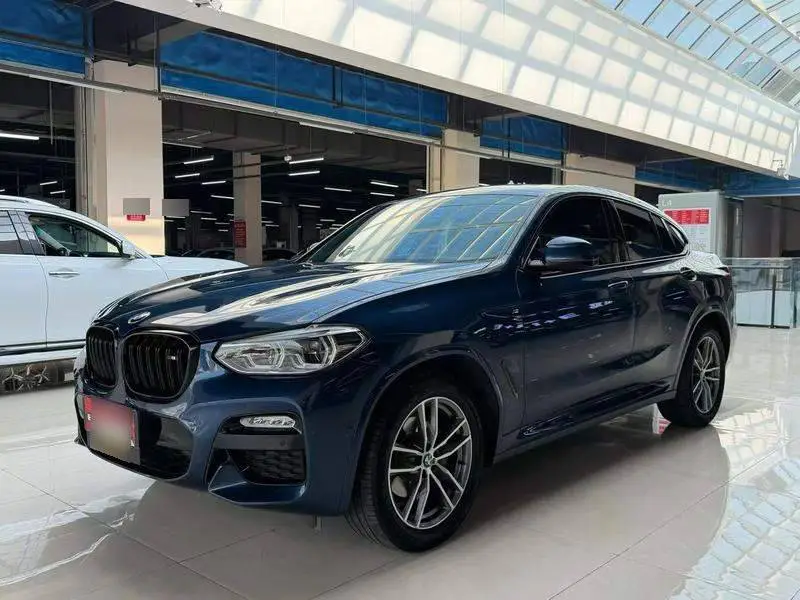 BMW X4 2019 xDrive25i M Sport Package
