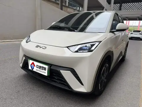Seagull 2025 Smart Driving Edition 405км Flying Edition
