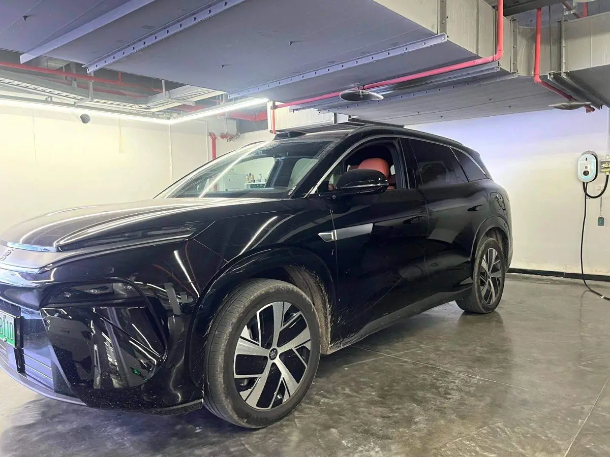 Tang L 2025 DM-p 4WD basic model