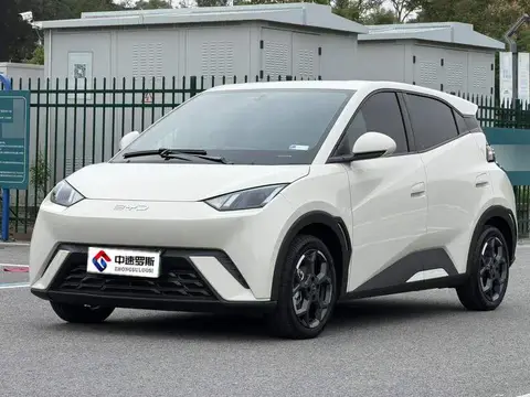 Seagull 2024 Honor Edition 305km Freedom Edition