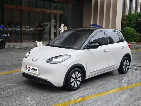 Wuling Bingo 2023 333km Enjoy+