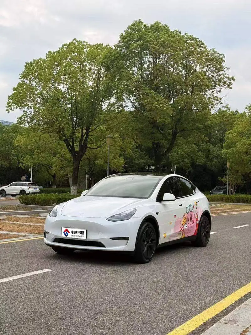 Model Y 2023 Long Range All-Wheel Drive