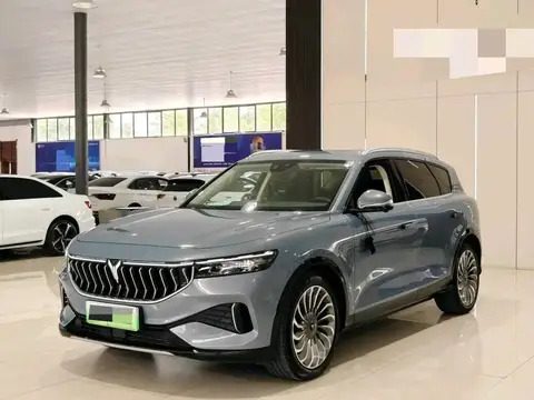 LANTU FREE 2023 four-wheel drive long-range extended-range version