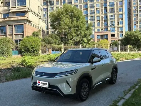 YuanUP 2024 401KM Vitality Edition