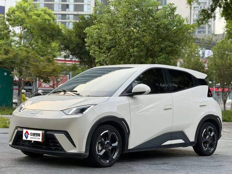 Seagull 2024 Honor Edition 305km Freedom Edition