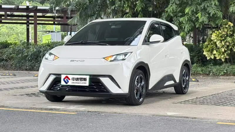 Seagull 2023 Liberty Edition