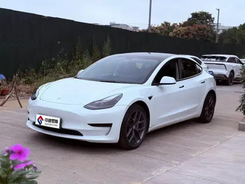 Model 3 2021 Standard Range RWD Upgraded 3D6