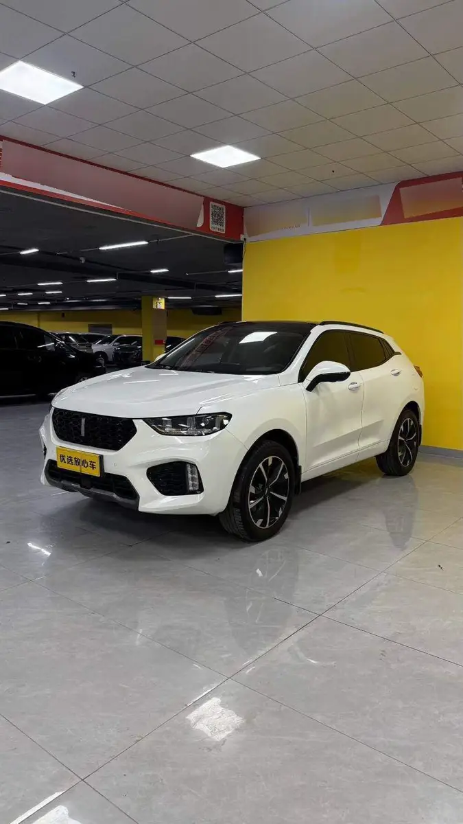 Wei brand VV5 2019 upgraded 2.0T 2WD Super Luxury National VI