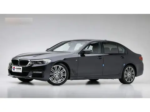 BMW 5 Serie 2019 530Li Premium M Sport Package