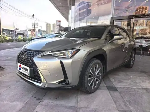 Lexus UX New Energy 2020 300e Pure Enjoy Edition