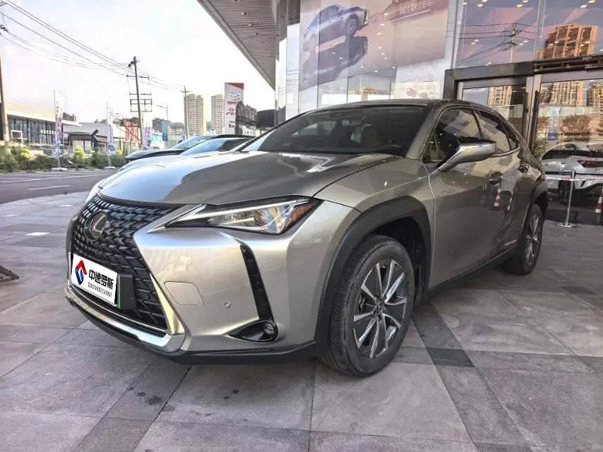 Lexus UX New Energy 2020 300e Pure Enjoy Edition