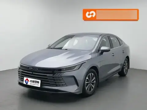 Destroyer 05 2024 Honor Edition DM-i 55KM Luxury