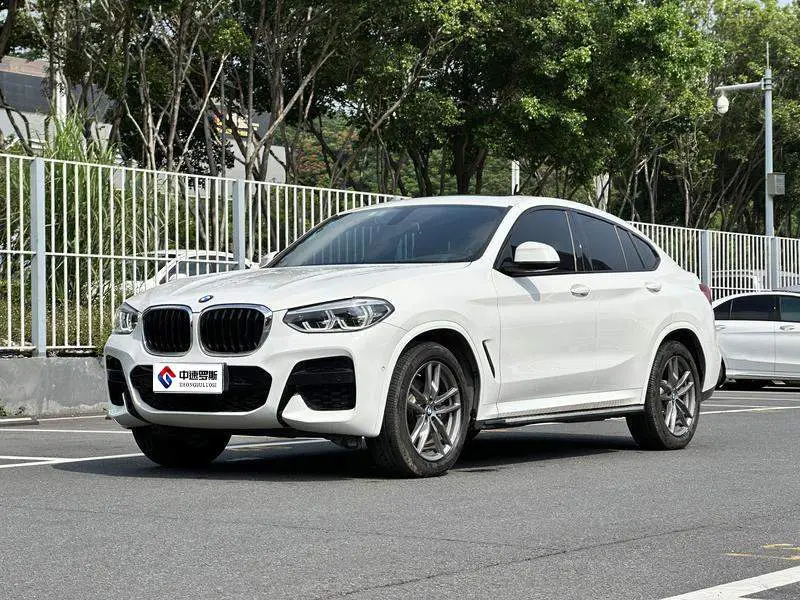 BMW X4 2019 xDrive25i M Sport Package