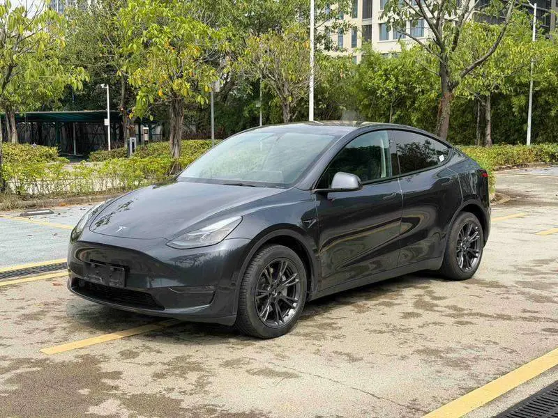 Модель Y 2024 long-range all-wheel drive version