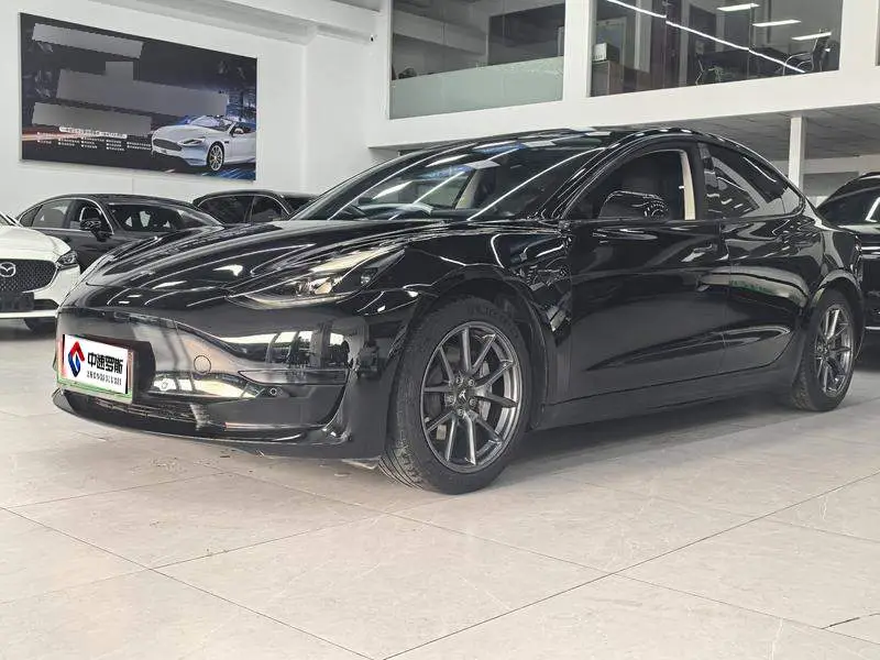 Model 3 2021 Standard Range RWD Upgraded 3D6