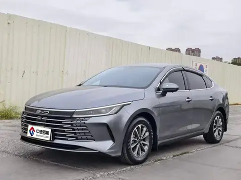 Destroyer 05 2024 Honor Edition DM-i 55KM Luxury