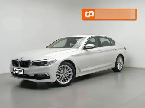 BMW 5 Serie 2019 530Li Leading Luxury Package