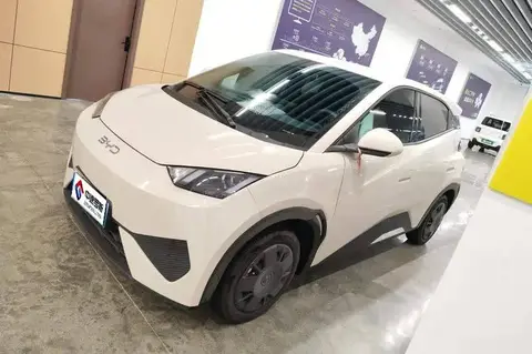 Seagull 2025 305км Vitality Edition
