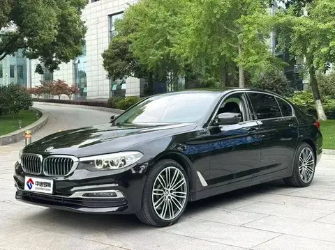 BMW 5 Serie 2019 530Li Leading Luxury Package