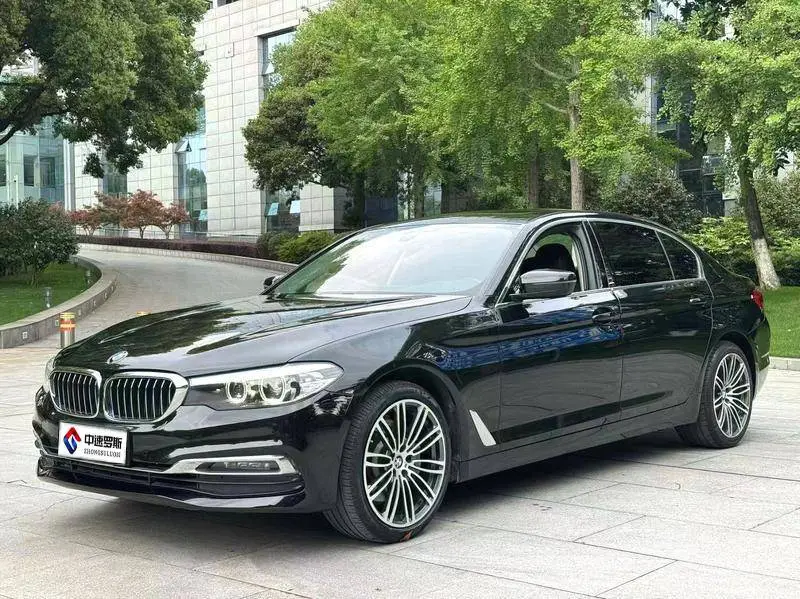 BMW 5 Series 2019 530Li Leading Luxury Package