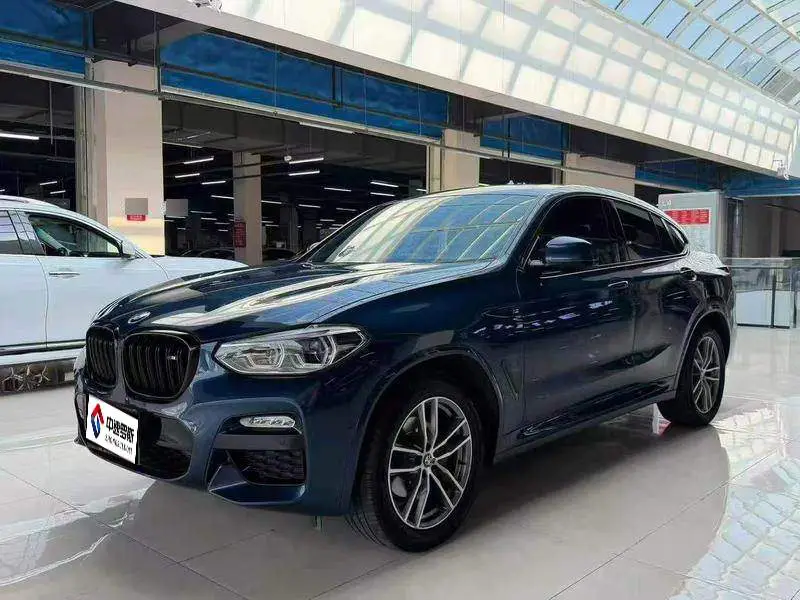 BMW X4 2019 xDrive25i M Sport Package
