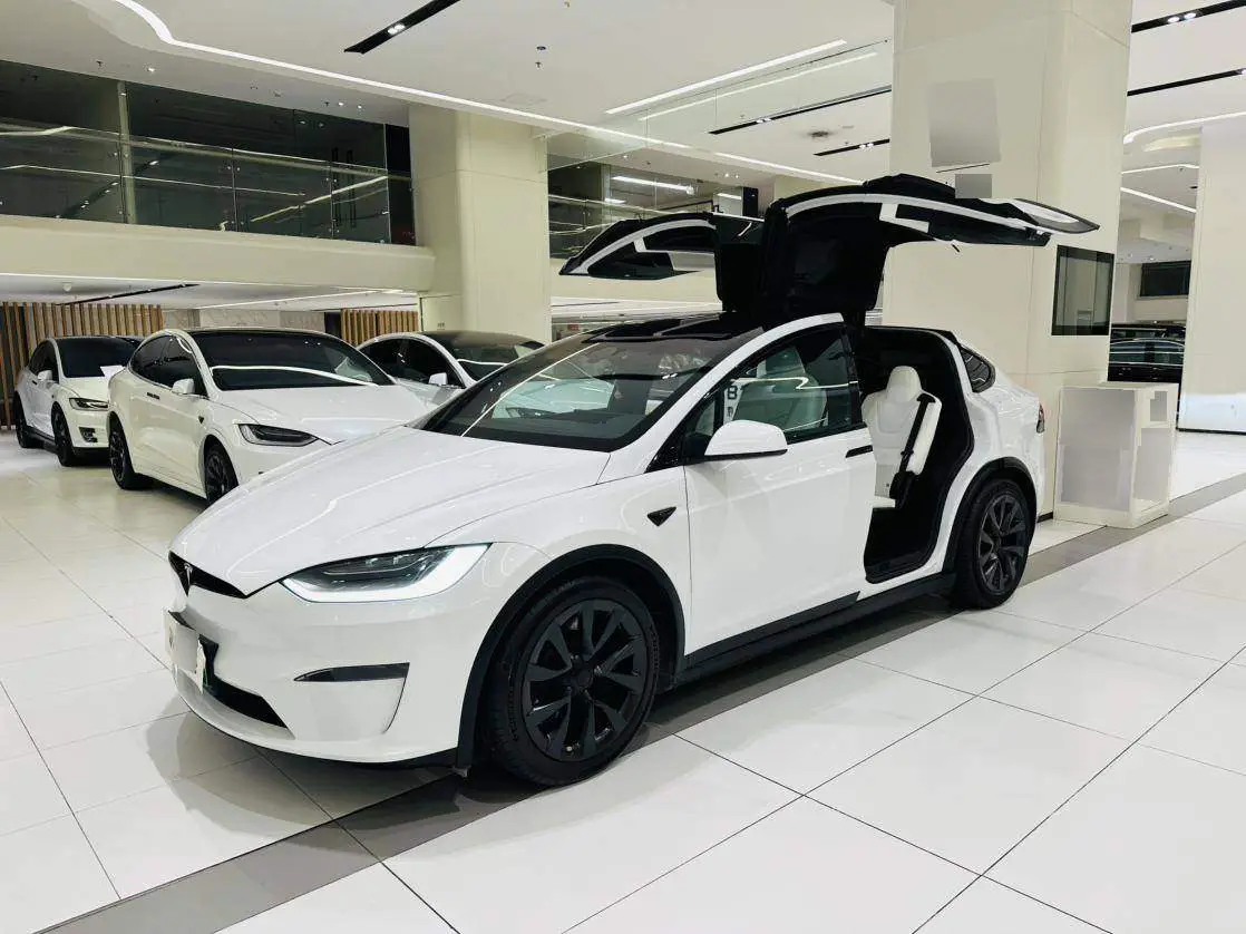 Model X 2023 Dual Motor All-Wheel Drive