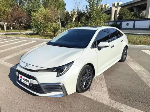 Ling Shang 2021 2.0L Premium Edition