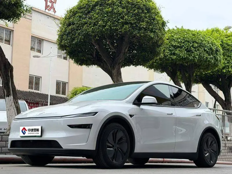 รุ่น Y 2025 rear-wheel drive version