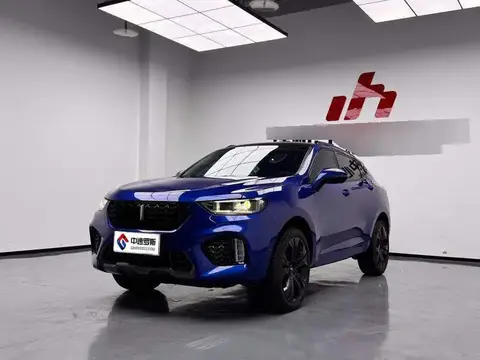 Wei brand VV5 2017 2.0T Flagship Mẫu