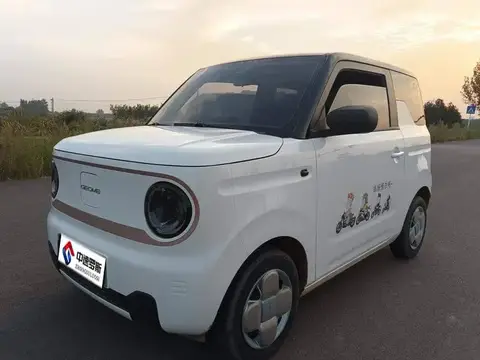 panda 2024 200km Panda Knight