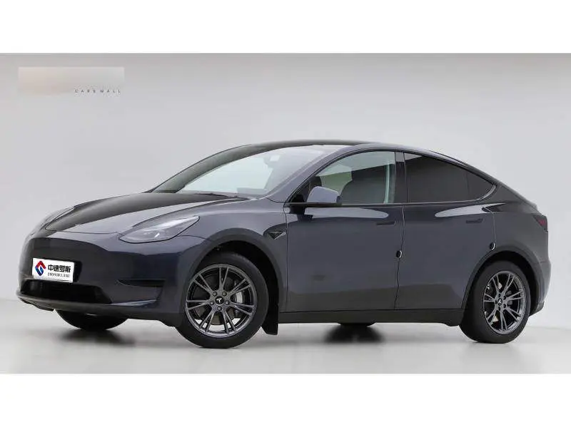 Model Y 2024 rear-wheel drive version