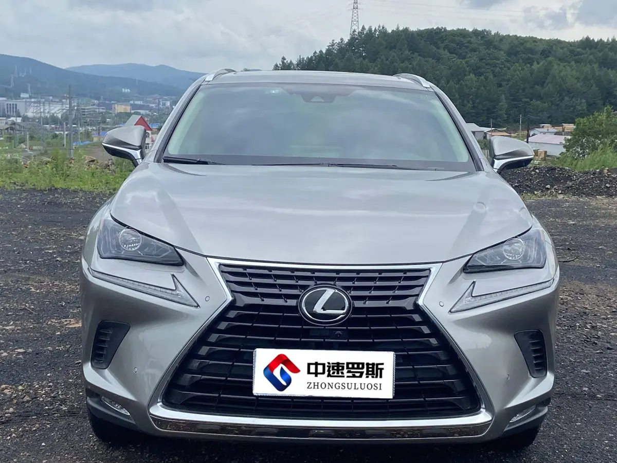 Lexus NX 2020 200 All-wheel Drive Frontier Edition National VI