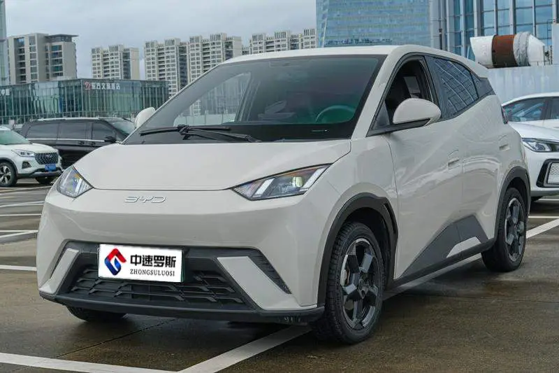 Seagull 2024 Glory Edition 305km Vitality Edition