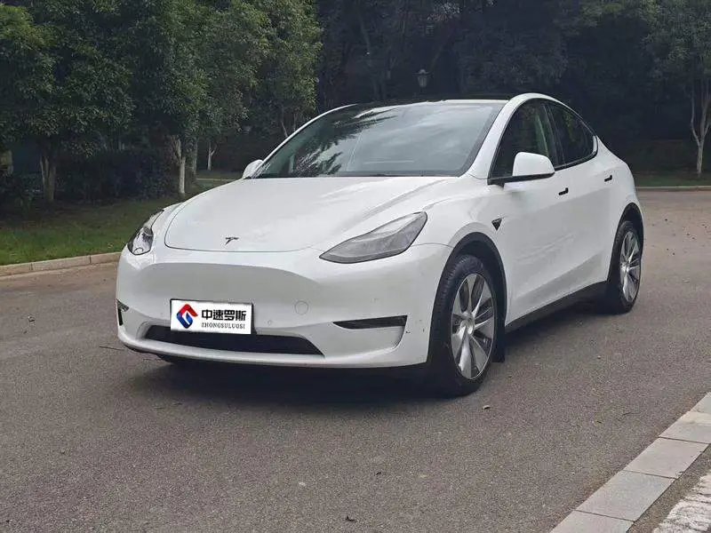 الطراز Y 2021 Long Range All-Wheel نظام الدفع