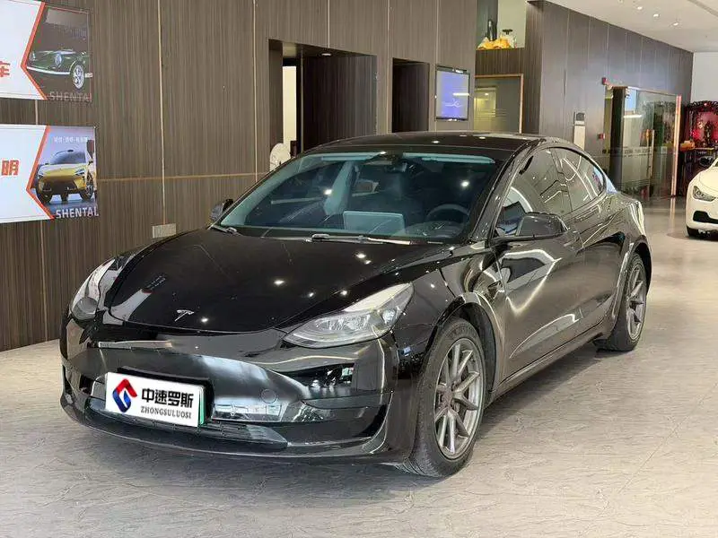 Model 3 2022 rear-wheel drive version