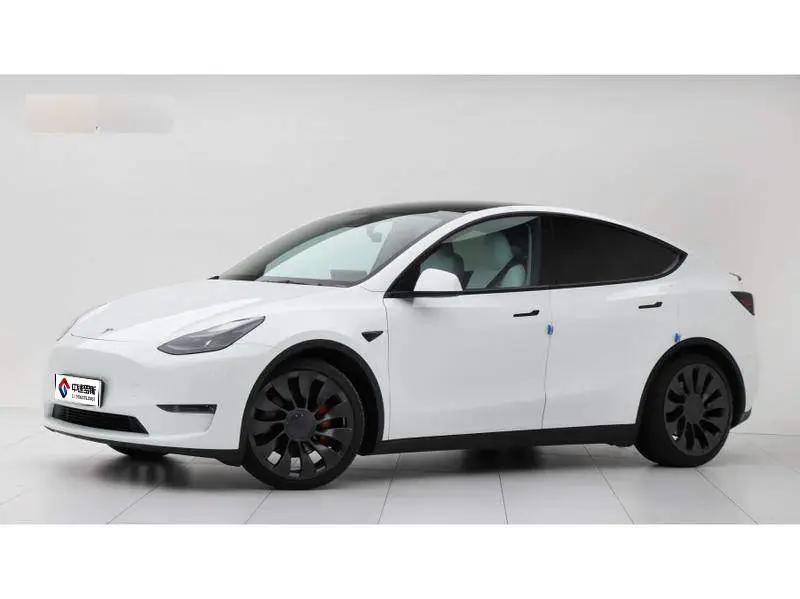 Model Y 2022 Performance All-Wheel Drive