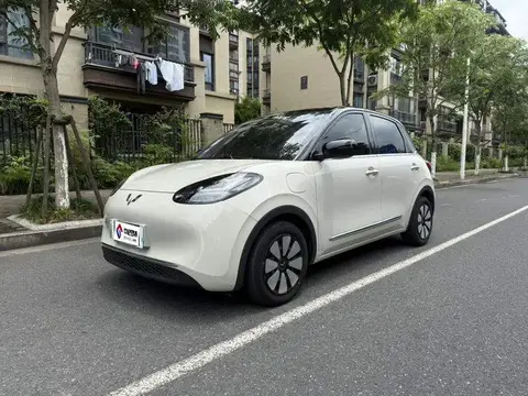 Wuling Bingo 2024 333km Enjoy Edition