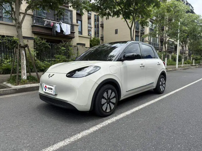 Wuling Bingo 2024 333km Enjoy Edition