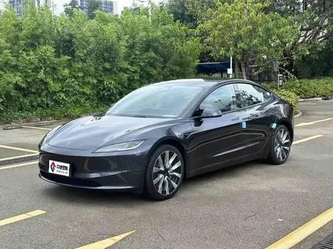 Model 3 2025 rear-wheel drive version