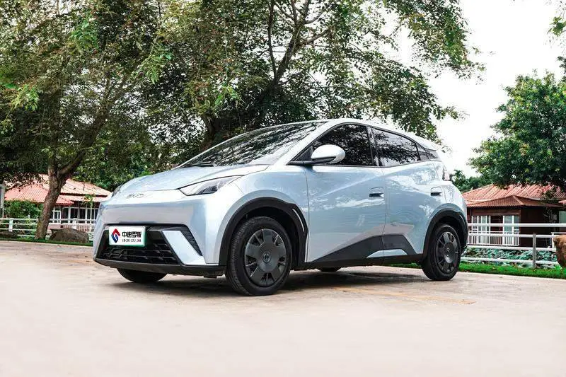 Seagull 2024 Glory Edition 305km Vitality Edition