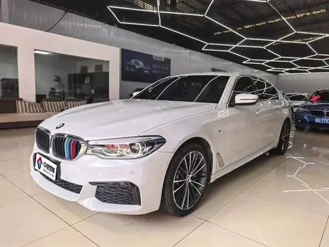 BMW 5 Серия 2020 530Li Leading M Sport Package