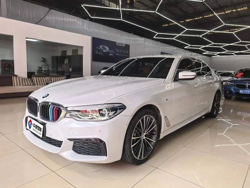 BMW 5 Series 2020 530Li Leading M Sport Package