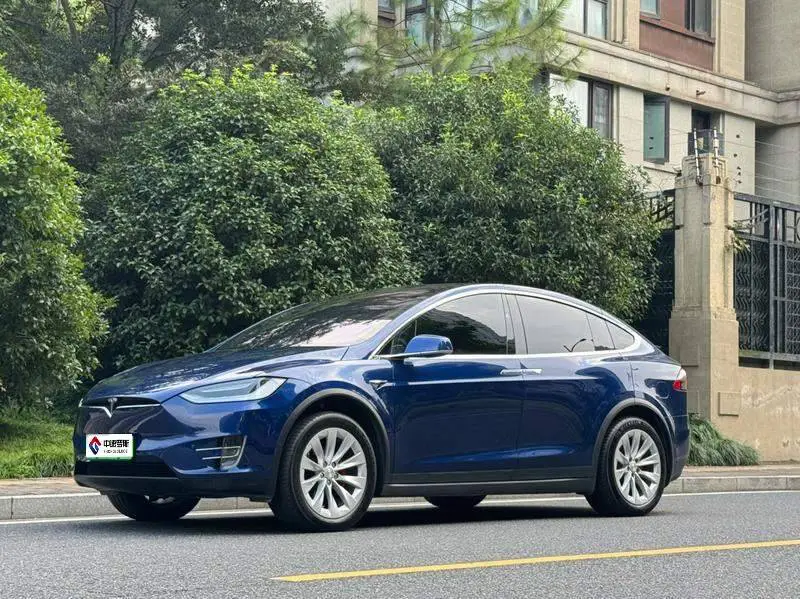 Model X 2020 Performance