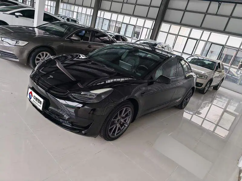 Модель 3 2022 rear-wheel drive version