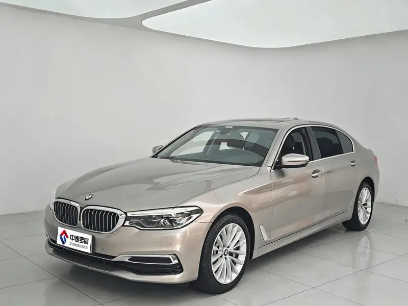 BMW 5 Series 2020 530Li Leading Luxury Package